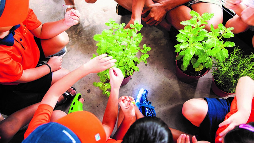 Do-it-yourself: A sustainable business model