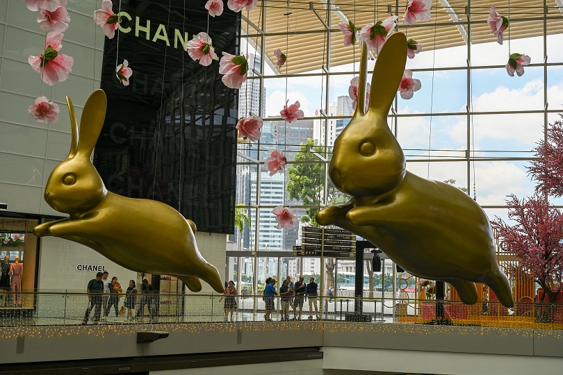 Hopping into the year of the rabbit