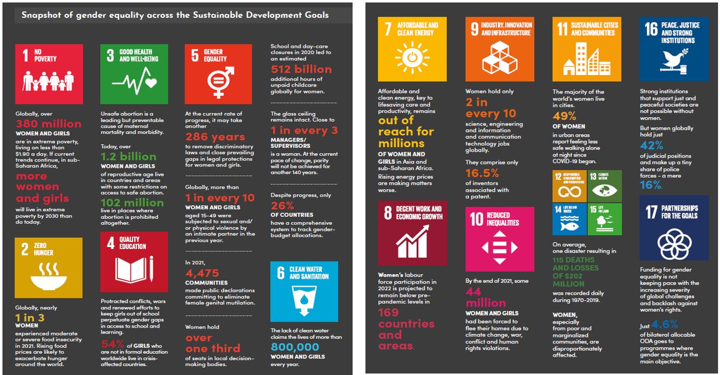 Exhibit 2: Snapshot of gender equality across the Sustainable Developed Goals