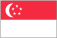 Singapore English Language